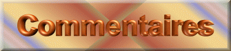 Commentaires.GIF (16936 octets)