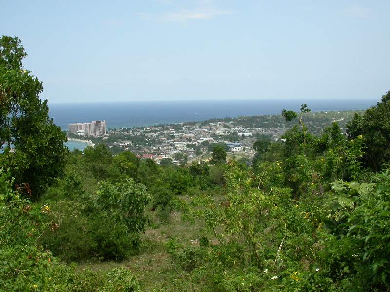 DSCN0662