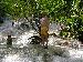 DSCN0628_edited
