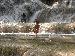 DSCN0629