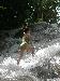 DSCN0634_edited