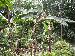 DSCN0644