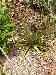 DSCN0648