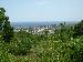 DSCN0662