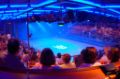 freedom of the seas studio b.jpg
