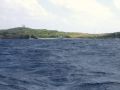 DSCF2778.JPG