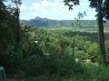DSCF3573.jpg