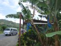 DSCF3581.jpg