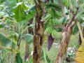 DSCF3583.jpg