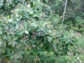 DSCF3592.jpg