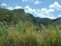 DSCF3599.jpg
