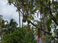 DSCF3615.jpg