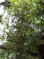 DSCF3618.jpg