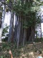 DSCF3627.jpg