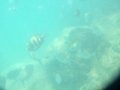 DSCF3811.jpg
