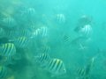 DSCF3807.jpg