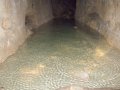 DSCF3679.jpg