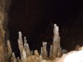 DSCF3698.jpg