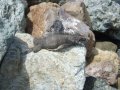 DSCF3764.jpg
