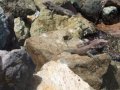 DSCF3765.jpg