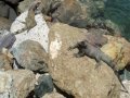 DSCF3766.jpg