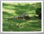 IMG_0535_B.jpg