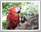 IMG_0536_B.jpg