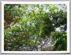 DSCF1698.jpg