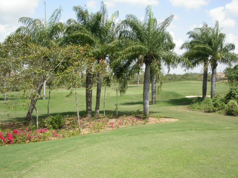 Partie du green du 9e trou