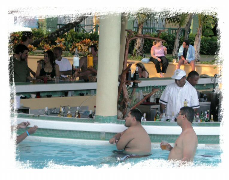 Bar de la MammaJuana!!